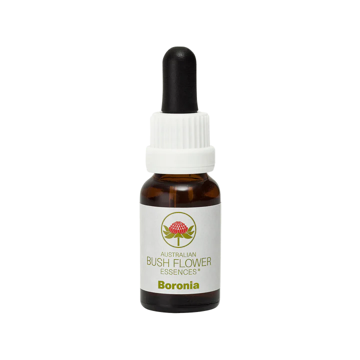 ボロニア Boronia (15ml)