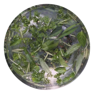 グリーン エッセンス Green Essence (15ml)