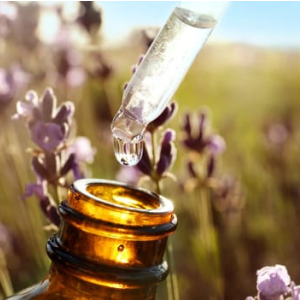 フラワーエッセンス Flower Essences