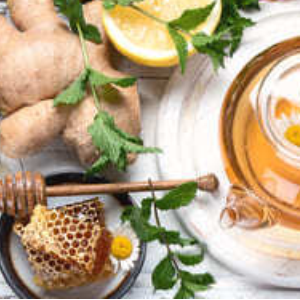 免疫系サポート Immune Support (General)