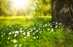 人生変容プログラム